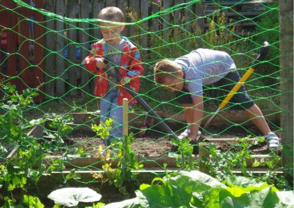 brierfieldallotment4 08ab91e5