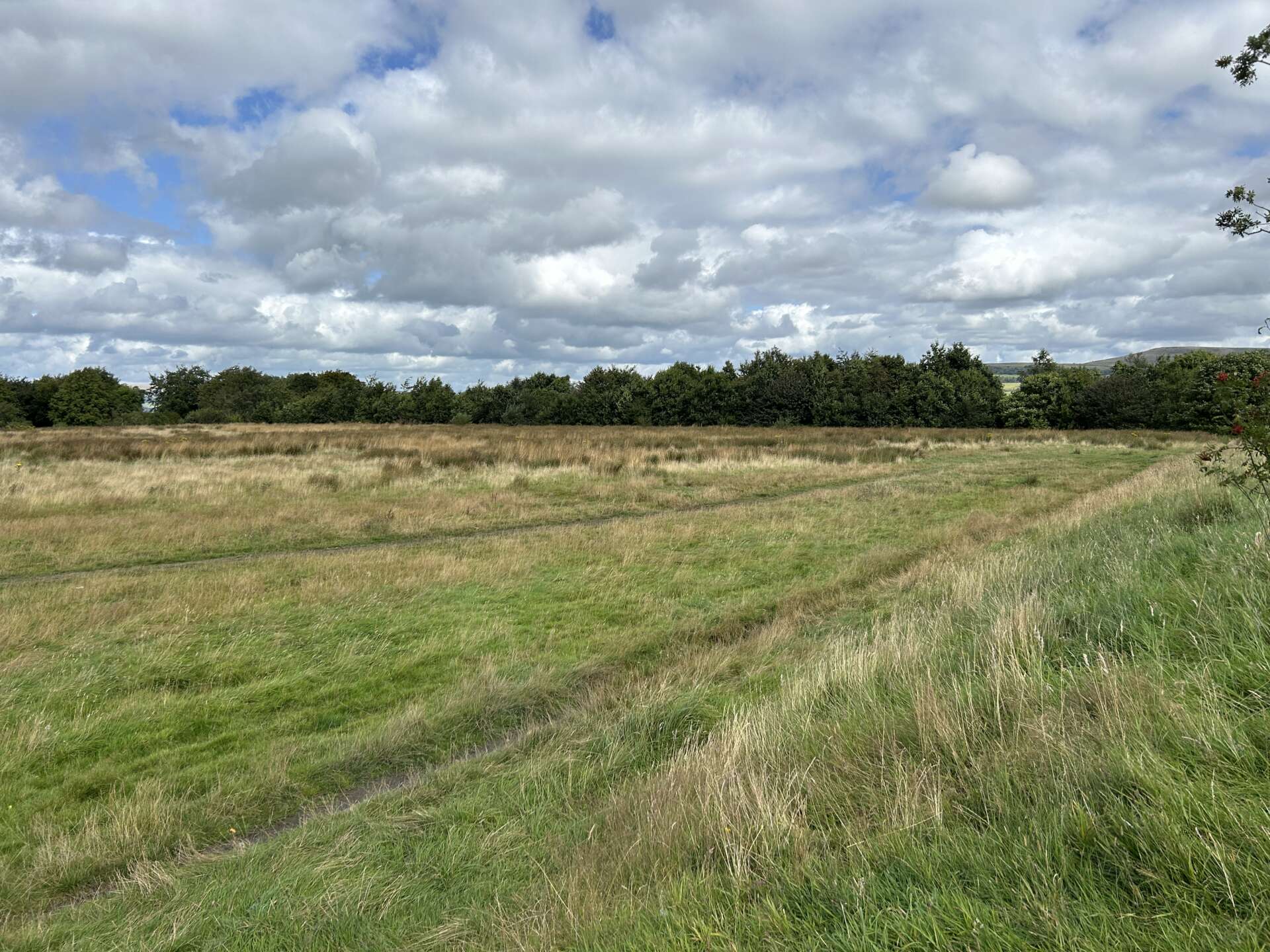 20240820 Bullough park 27