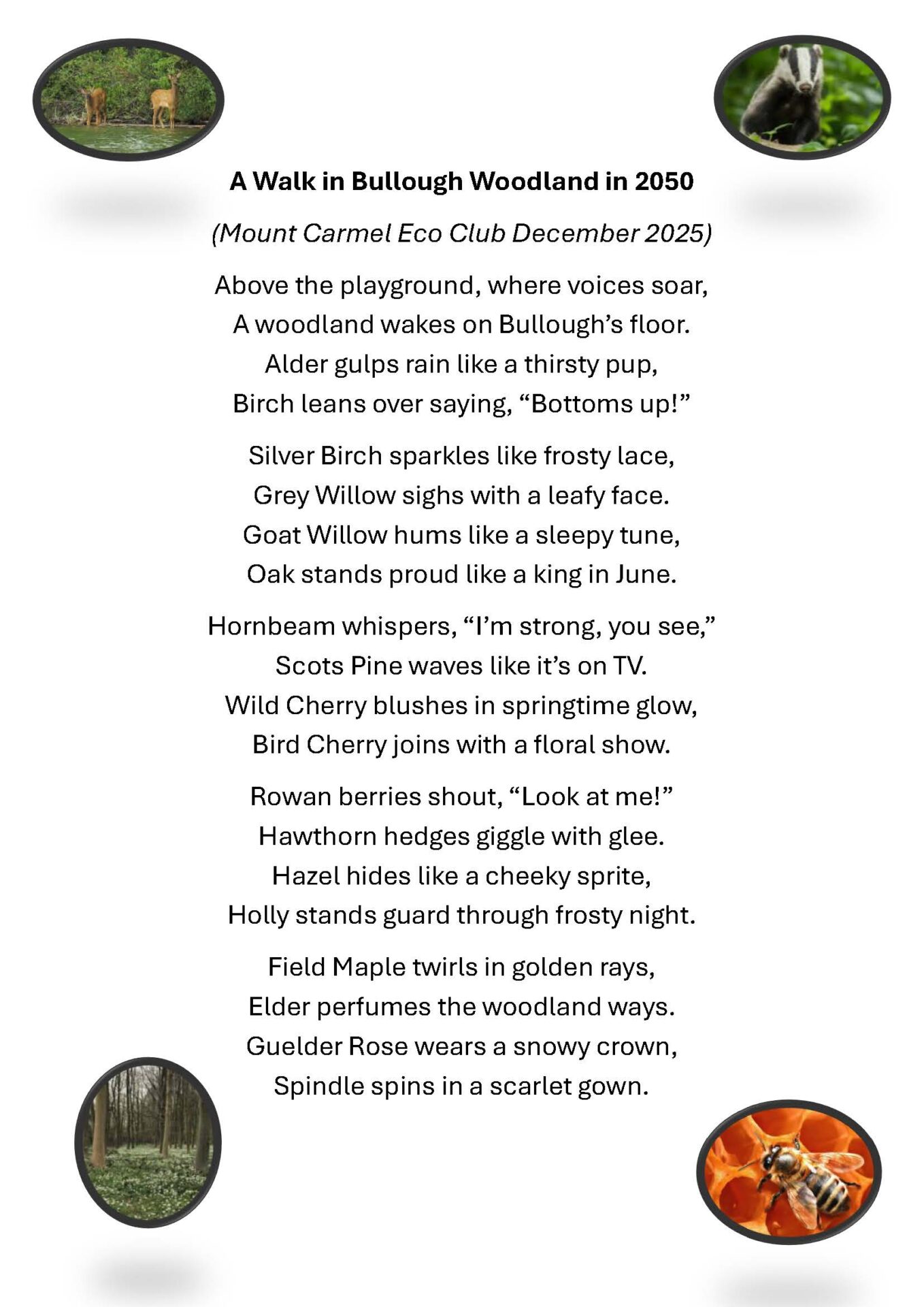 Mount Carmel Eco Club poem A4 Page 1