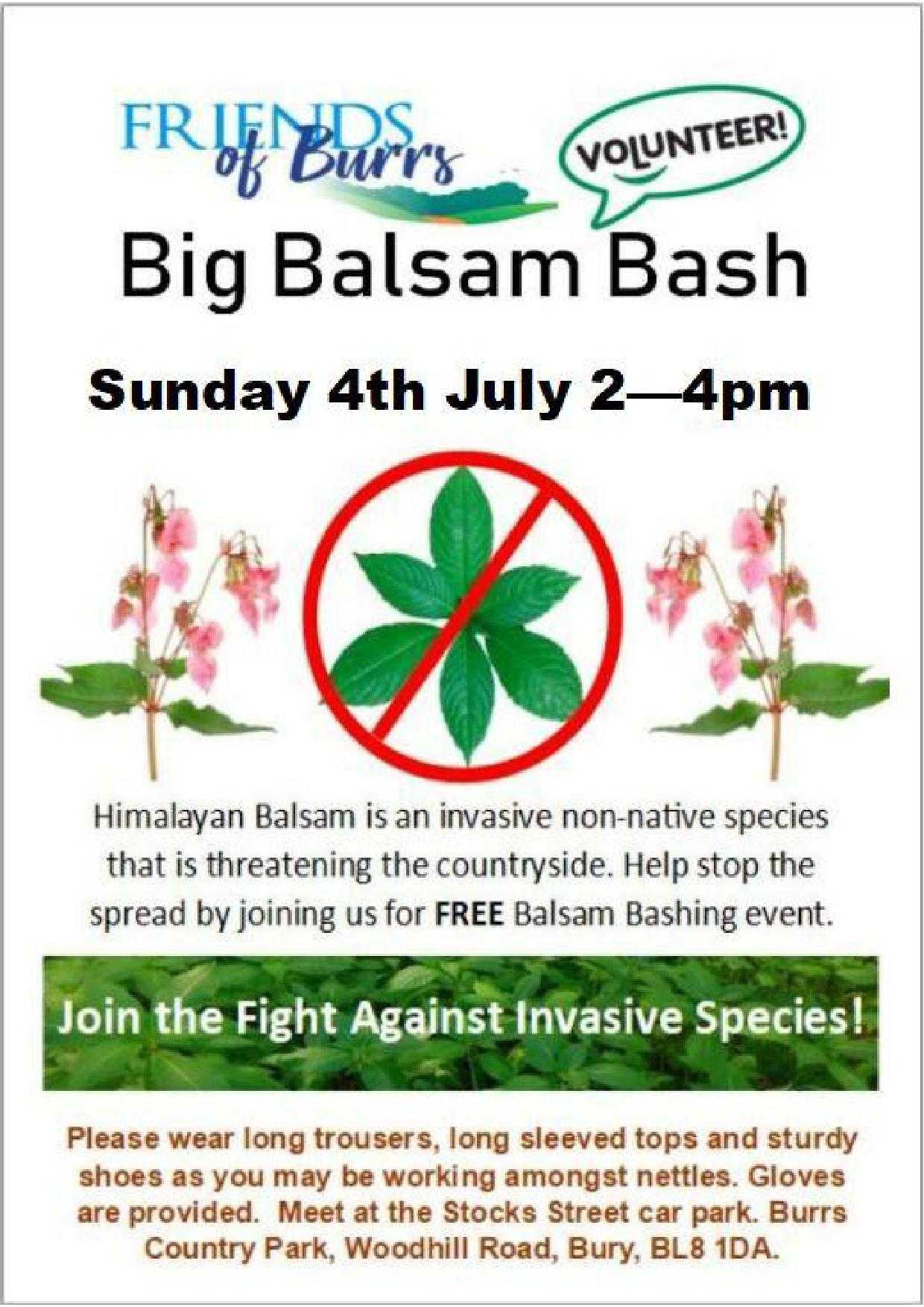 Balsam 4th July 2021